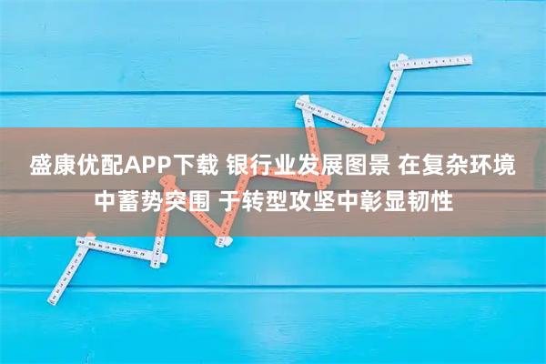 盛康优配APP下载 银行业发展图景 在复杂环境中蓄势突围 于转型攻坚中彰显韧性
