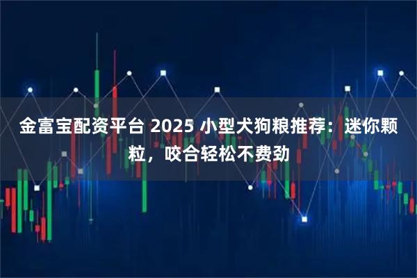 金富宝配资平台 2025 小型犬狗粮推荐：迷你颗粒，咬合轻松不费劲