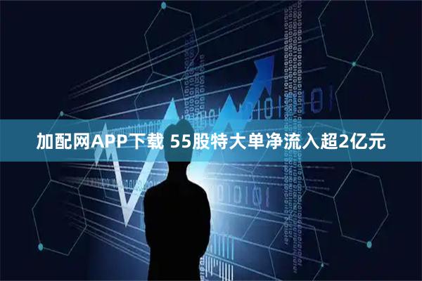 加配网APP下载 55股特大单净流入超2亿元