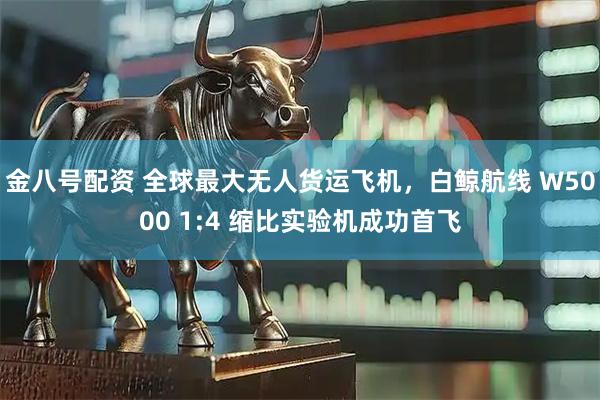 金八号配资 全球最大无人货运飞机，白鲸航线 W5000 1:4 缩比实验机成功首飞
