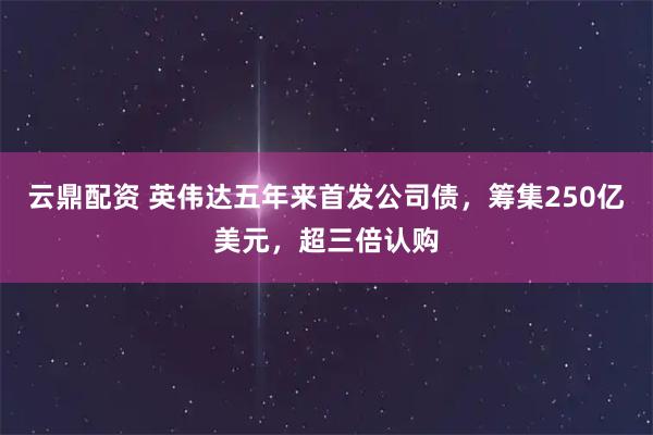 云鼎配资 英伟达五年来首发公司债，筹集250亿美元，超三倍认购